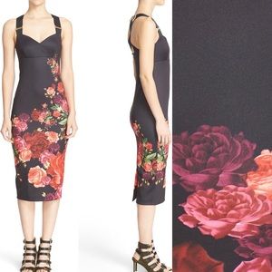 Ted Baker London Body-Con Midi Dress in “Meric Juxtapose Rose”.